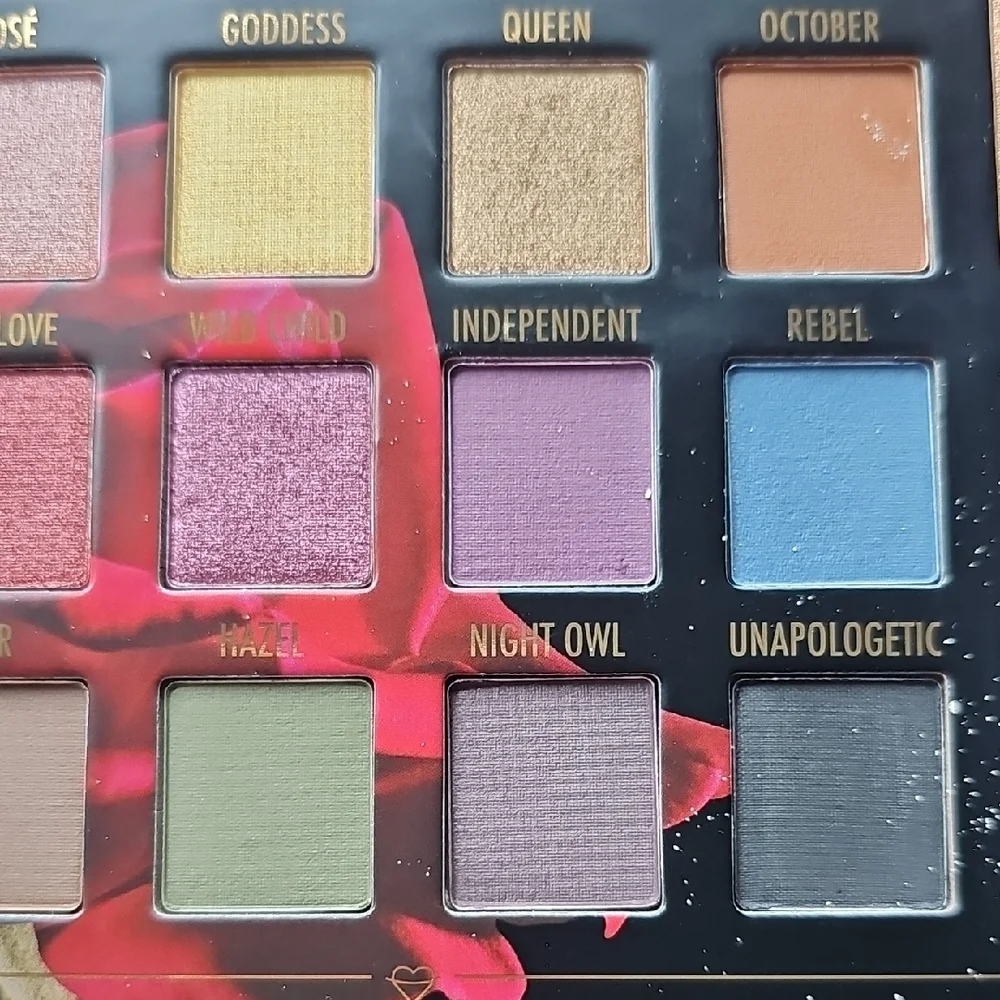 New Sylvia Gani BH Cosmetics 22-Color Eyeshadow Palette With 2 Highlighters
